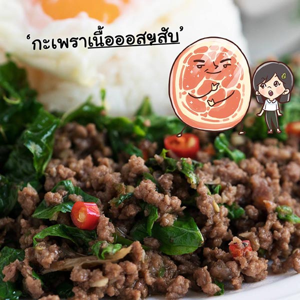 9 ร้านผัดกะเพรา 9 ร้านผัดกะเพรา