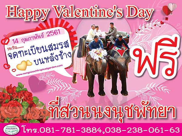 วันวาเลนไทน์ 2561 วันวาเลนไทน์ 2561