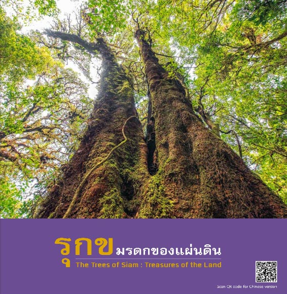 รุกข มรดกของแผ่นดิน รุกข มรดกของแผ่นดิน