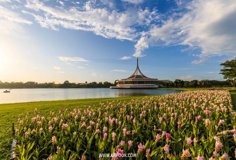 สวนหลวง ร.9 สวนหลวง ร.9