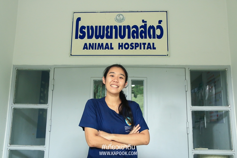 อาชีพในสวนสัตว์ อาชีพในสวนสัตว์