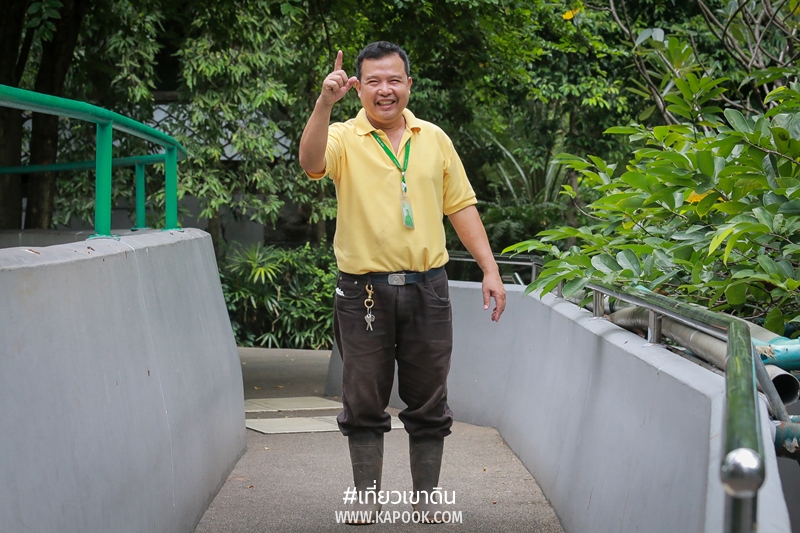อาชีพในสวนสัตว์ อาชีพในสวนสัตว์