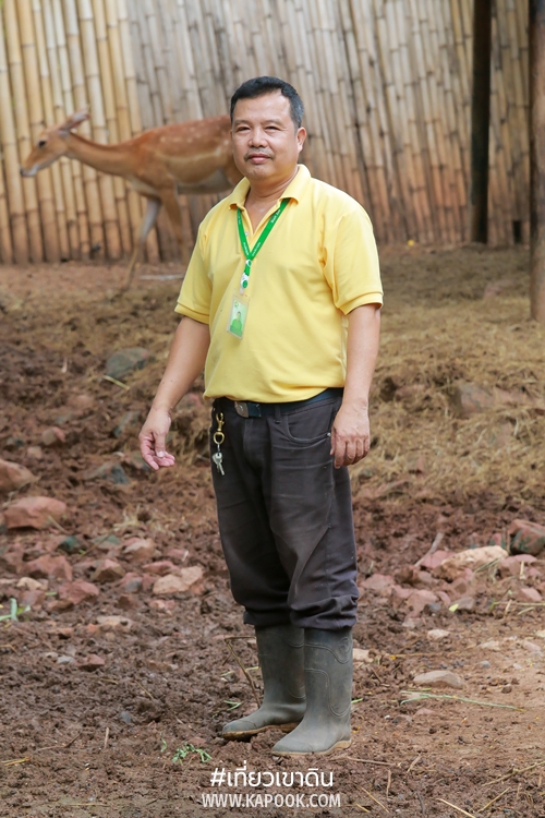 อาชีพในสวนสัตว์ อาชีพในสวนสัตว์