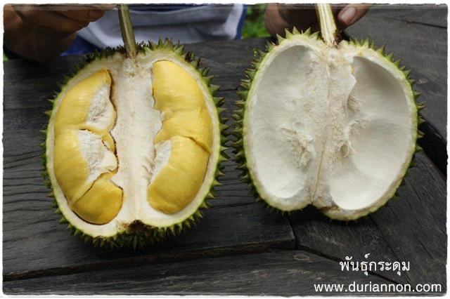 แคลอรีในทุเรียน แคลอรีในทุเรียน