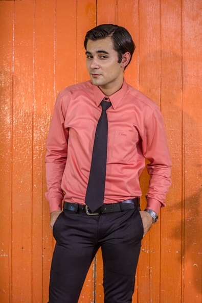 เชิงชายชาญ เชิงชายชาญ