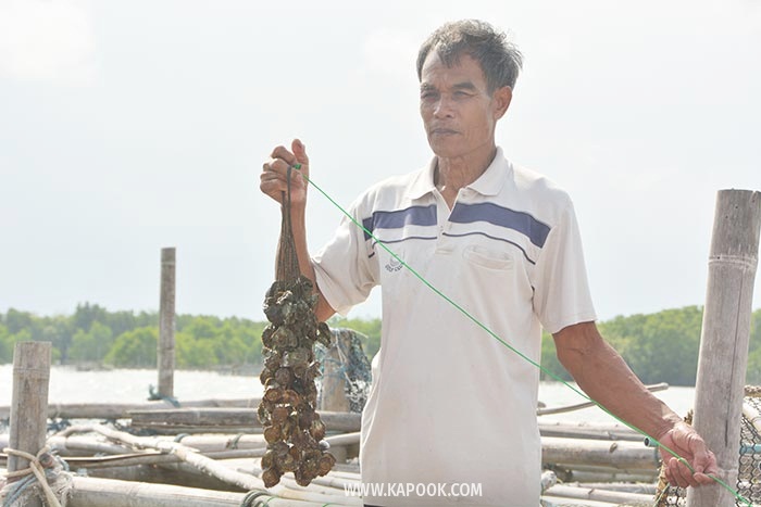 ร้านอาหารถิ่น จันทบุรี ร้านอาหารถิ่น จันทบุรี