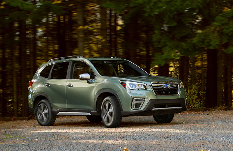 Subaru Forester 2019 Subaru Forester 2019