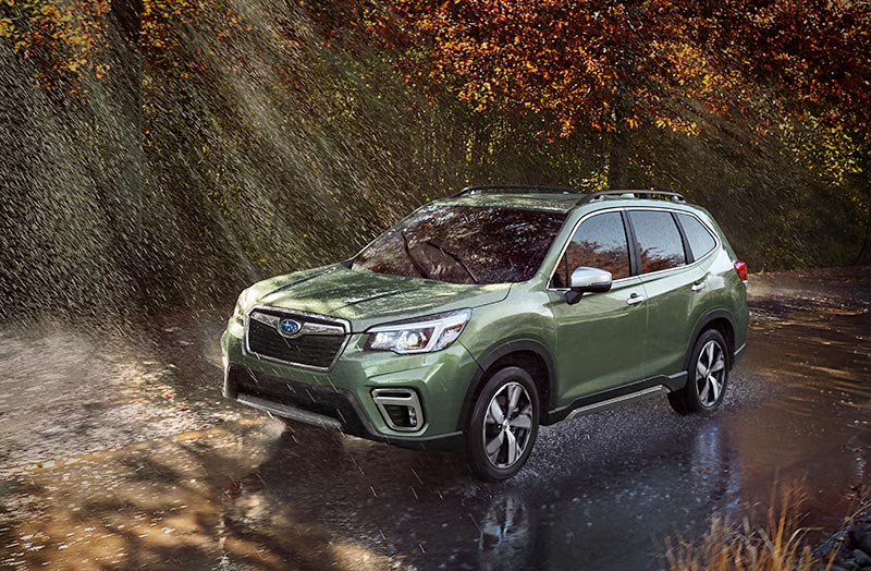 Subaru Forester 2019 Subaru Forester 2019