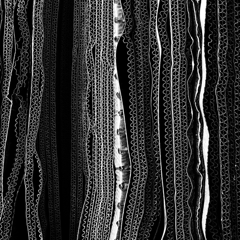 IPPAWARDS IPPAWARDS