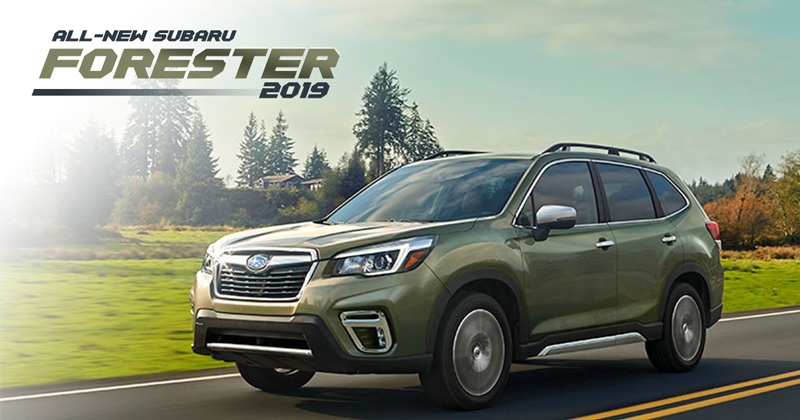 Subaru Forester 2019 Subaru Forester 2019