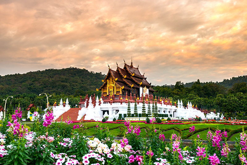 สวนดอกไม้ทั่วไทย สวนดอกไม้ทั่วไทย