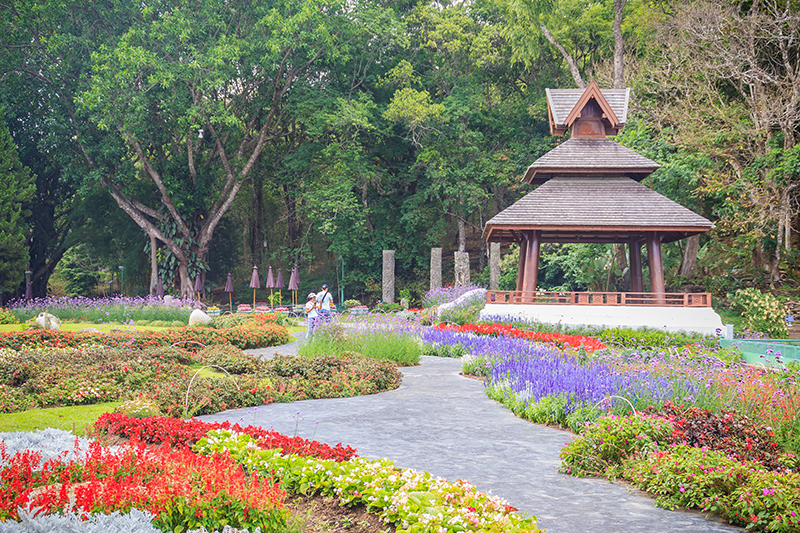 สวนดอกไม้ทั่วไทย สวนดอกไม้ทั่วไทย