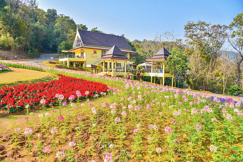 สวนดอกไม้ทั่วไทย สวนดอกไม้ทั่วไทย