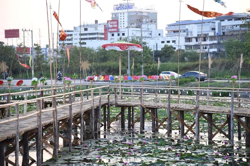 สะพานไม้ทุ่งรังสิต สะพานไม้ทุ่งรังสิต