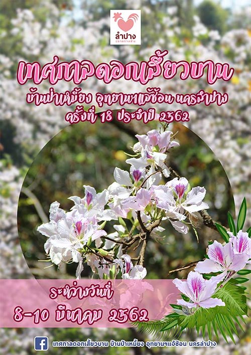 เทศกาลท่องเที่ยวเดือนมีนาคม 2562 เทศกาลท่องเที่ยวเดือนมีนาคม 2562