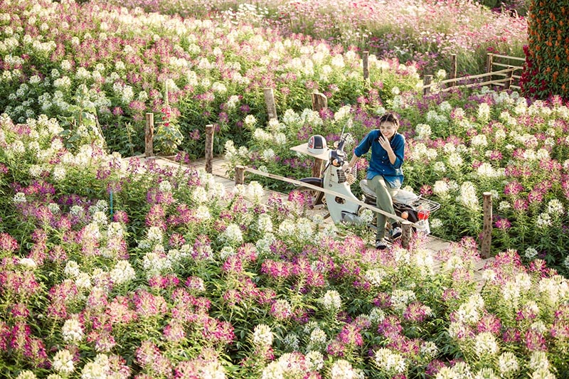 ที่เที่ยวกาญจนบุรี ที่เที่ยวกาญจนบุรี