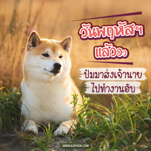 ดูดวงรายวัน ดูดวงรายวัน