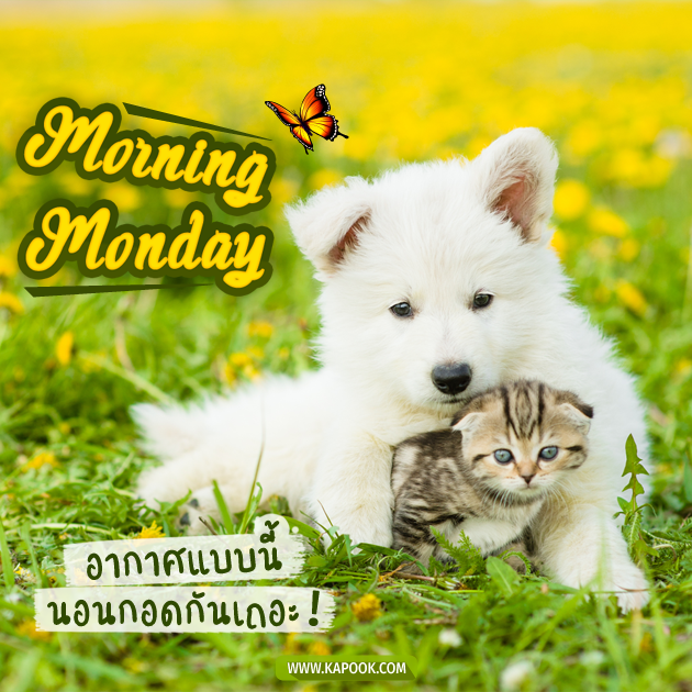 ดูดวงรายวัน ดูดวงรายวัน