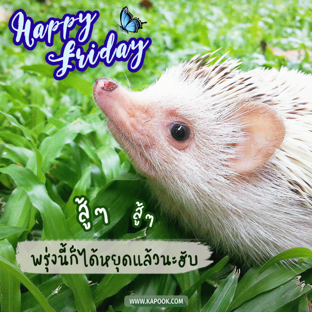 ดูดวงรายวัน ดูดวงรายวัน