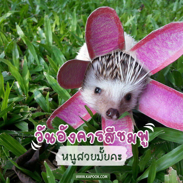 ดูดวงรายวัน ดูดวงรายวัน