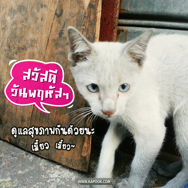ดูดวงรายวัน ดูดวงรายวัน
