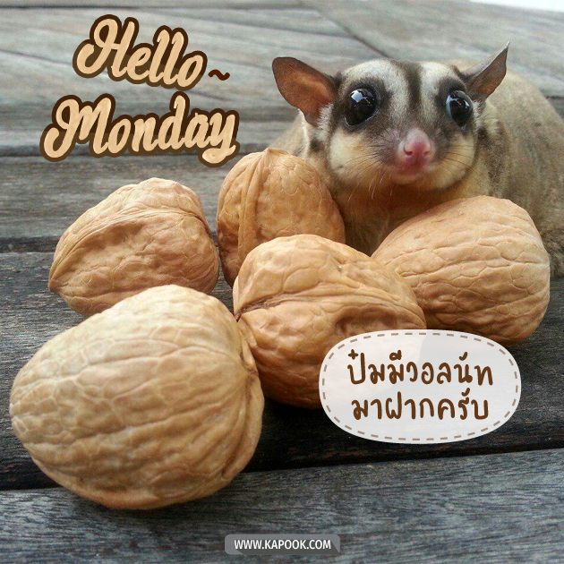 ดูดวงรายวัน ดูดวงรายวัน