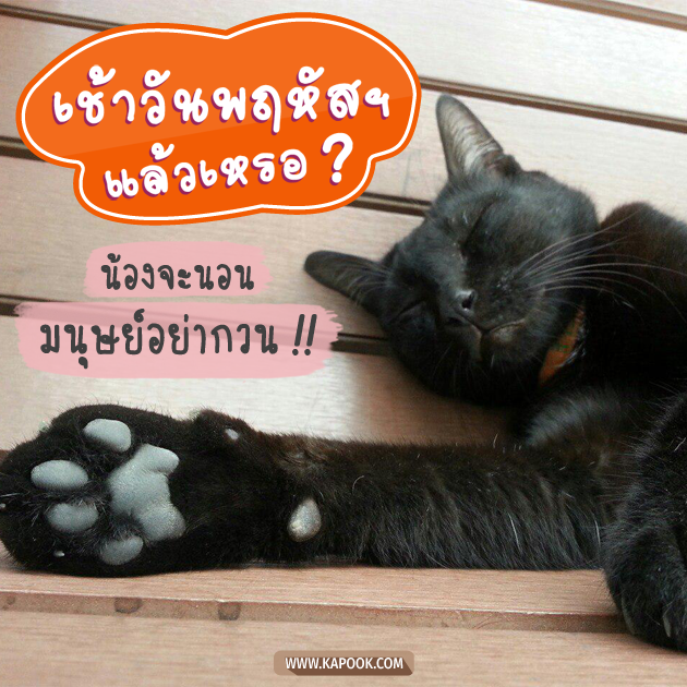 ดูดวงรายวัน ดูดวงรายวัน