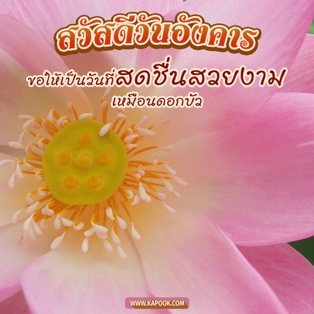 ดูดวงรายวัน ดูดวงรายวัน