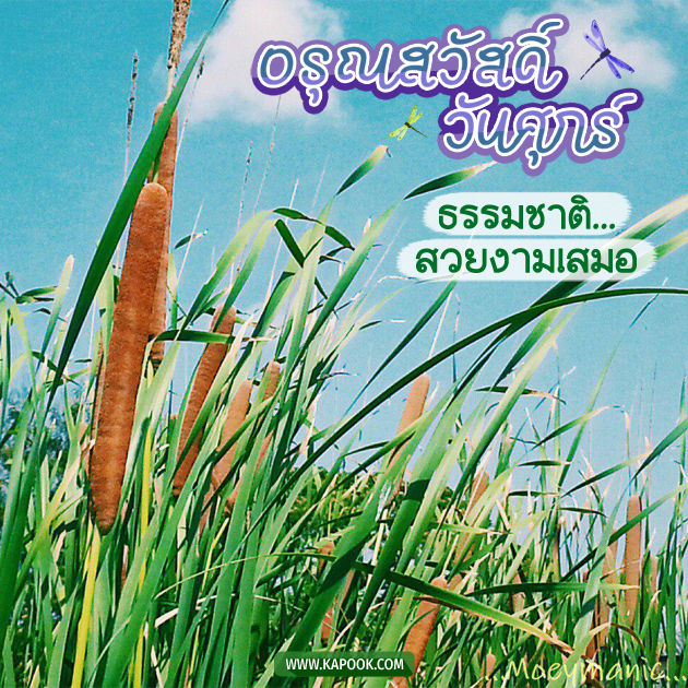 ดูดวงรายวัน ดูดวงรายวัน