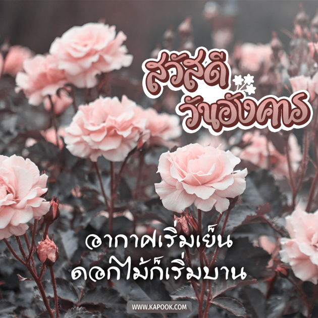 ดูดวงรายวัน ดูดวงรายวัน
