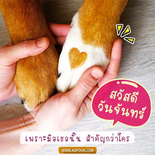 ดูดวงรายวัน ดูดวงรายวัน