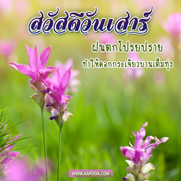 ดูดวงรายวัน ดูดวงรายวัน