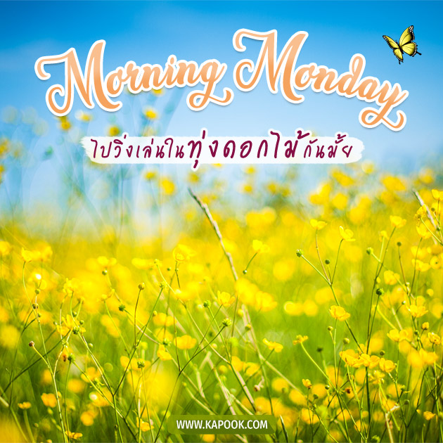 ดูดวงรายวัน ดูดวงรายวัน