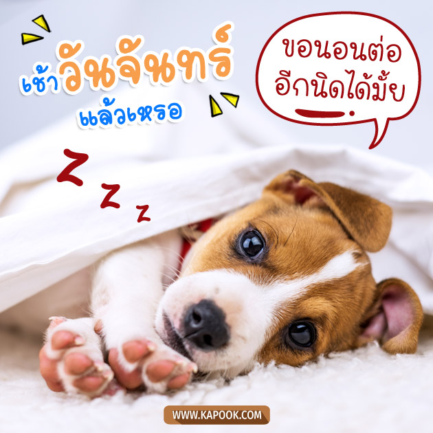 ดูดวงรายวัน ดูดวงรายวัน