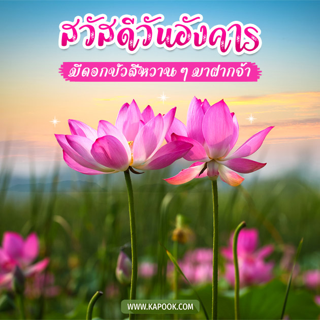 ดูดวงรายวัน ดูดวงรายวัน