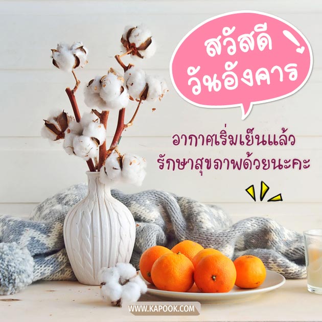 ดูดวงรายวัน ดูดวงรายวัน