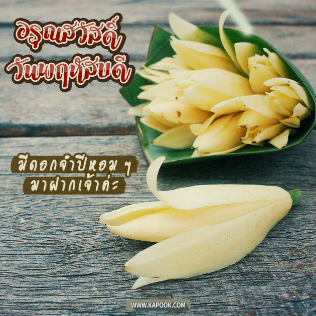 ดูดวงรายวัน ดูดวงรายวัน