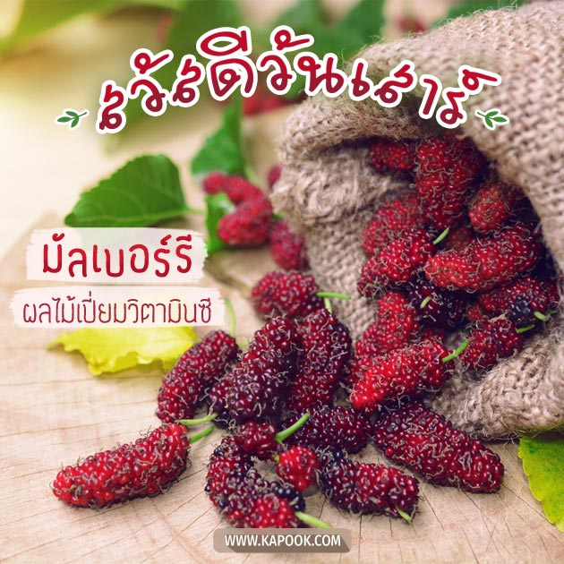 ดูดวงรายวัน ดูดวงรายวัน