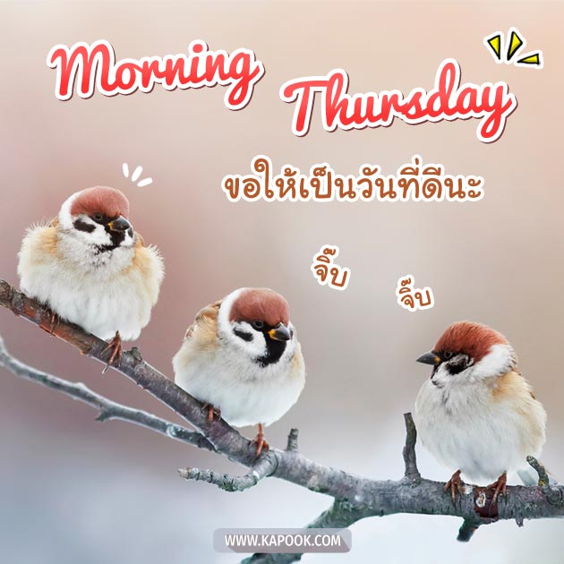 ดูดวงรายวัน ดูดวงรายวัน
