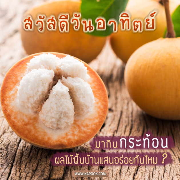 ดูดวงรายวัน ดูดวงรายวัน
