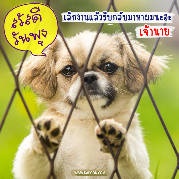 ดูดวงรายวัน ดูดวงรายวัน