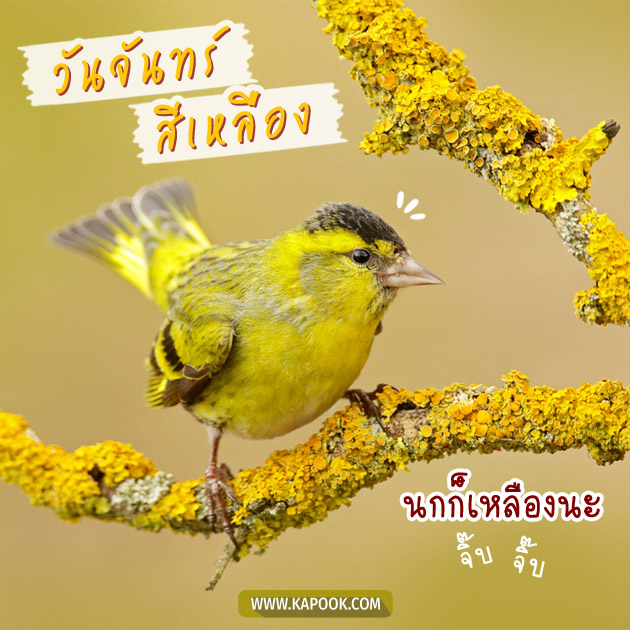 ดูดวงรายวัน ดูดวงรายวัน
