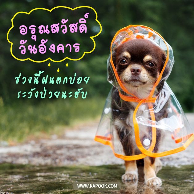 ดูดวงรายวัน ดูดวงรายวัน