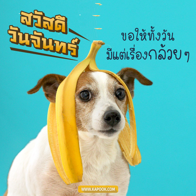ดูดวงรายวัน ดูดวงรายวัน