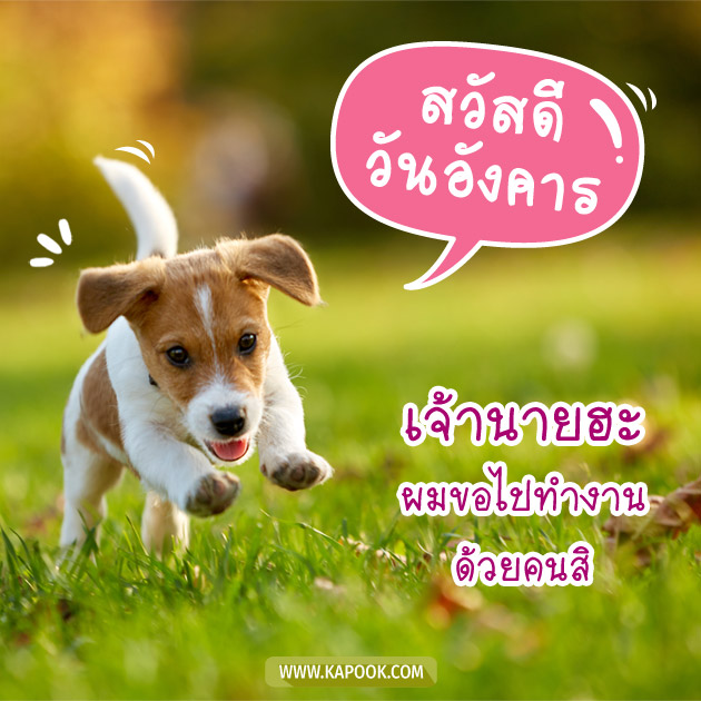 ดูดวงรายวัน ดูดวงรายวัน