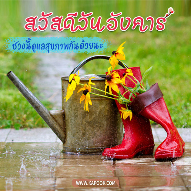 ดูดวงรายวัน ดูดวงรายวัน