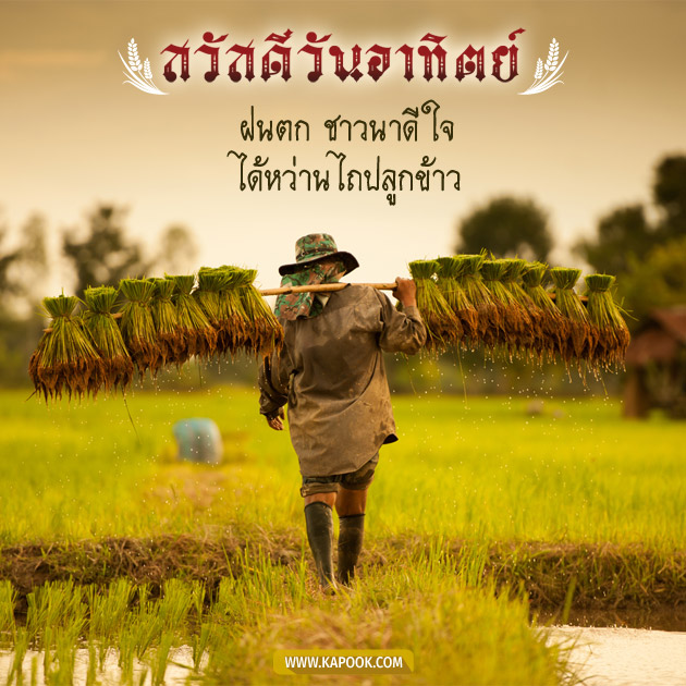 ดูดวงรายวัน ดูดวงรายวัน