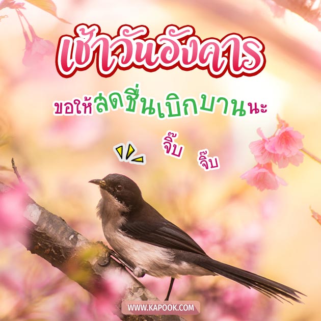 ดูดวงรายวัน ดูดวงรายวัน