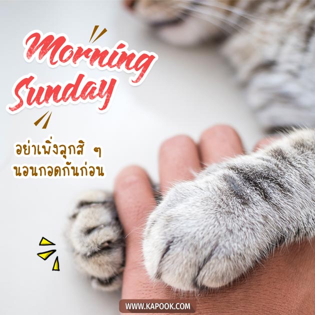 ดูดวงรายวัน ดูดวงรายวัน