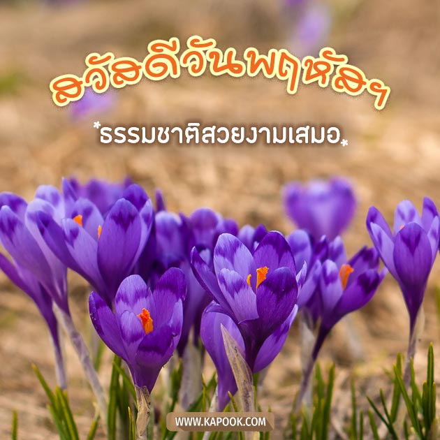 ดูดวงรายวัน ดูดวงรายวัน